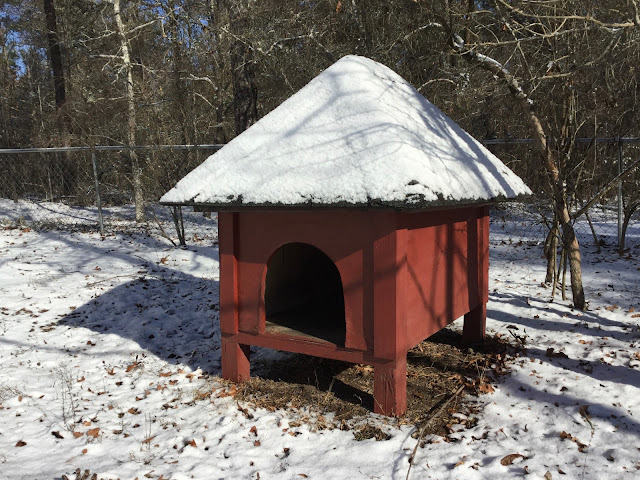 snow, dog house, Peach County, Georgia