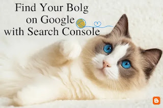 A beautiful ragdoll cat with blue eyes is holding up one paw and staring at something. At the top of the image is the phrase "Find Your Blog on Google with Search Console."