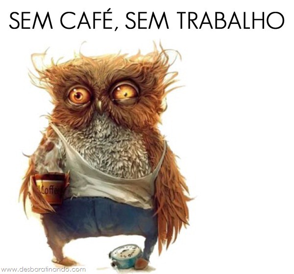 desbarafotos-humor-engracadas-desbaratinando (3)