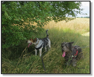 Emma und Lotte