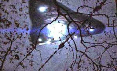 Exopolitical Disclosure Citizen Hearing On Disclosure The Rendlesham Ufo Incident