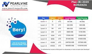 Pearlvine Bonanza 2020 - Beryl Auto Pool Income Chart