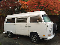 picture of Hapy under autumn trees