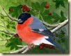 Bullfinch077