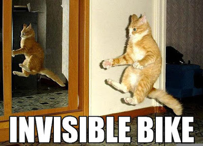 Gatos y cosas invisibles