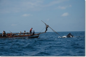 Lembata Whale Hunting=