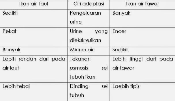 gambar adaptasi  fisiologi  pada hewan 