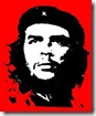 freedomfighter