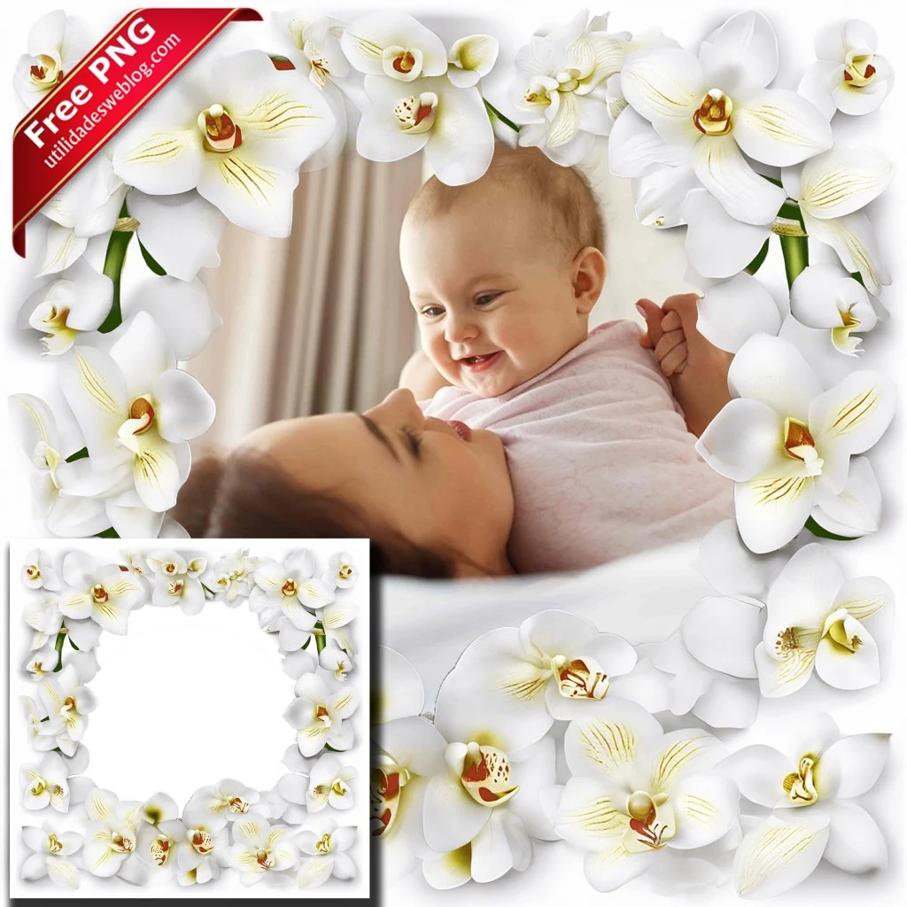 marco para fotos con flores de orquideas blancas en png con fondo transparente para descargar gratis