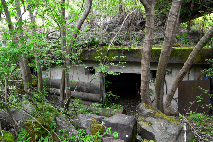 スゴログ 伊豆 廃橋 赤沢八幡野連絡橋