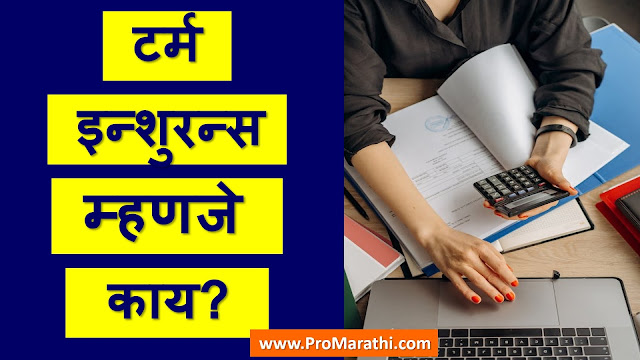 Term Insurance Meaning in Marathi