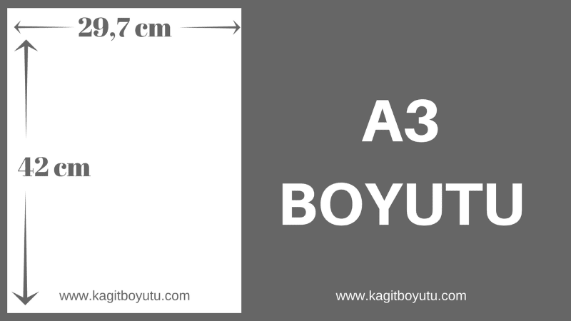 A3 Boyutu