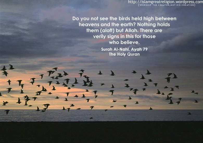 do you not see the birds held high between :: Quran Verses Wallpapers