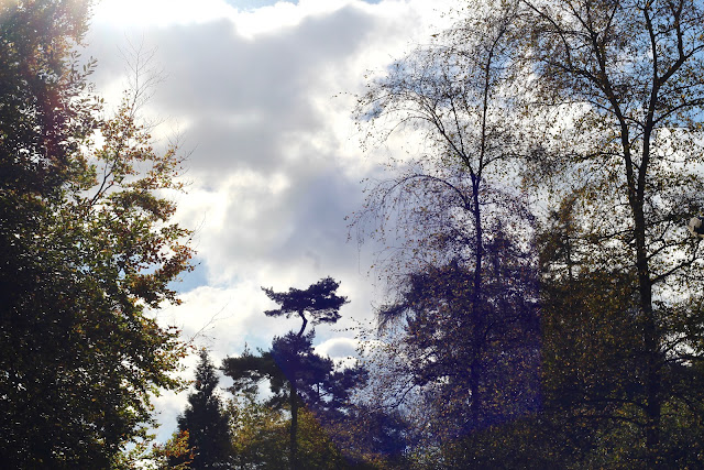 The Skimmington Castle, Reigate Heath