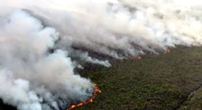 Chapada: Incêndio na região entre Andaraí e Mucugê completa quatro dias