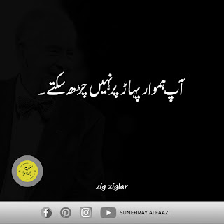 quotes in urdu