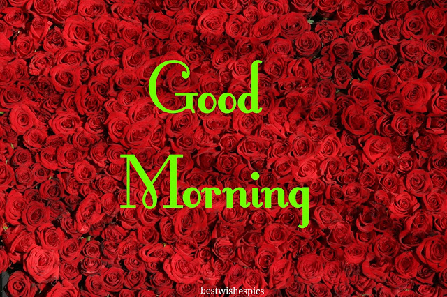 Best Good Morning Wishes