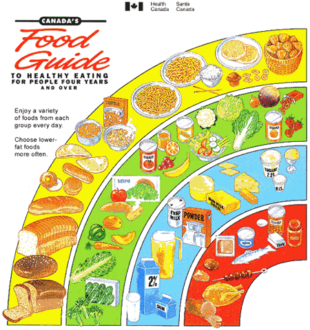 6 food groups pyramid. Food Pyramid and