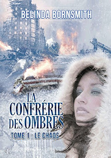 http://lesreinesdelanuit.blogspot.be/2017/06/la-confrerie-des-ombres-t1-chaos-de.html