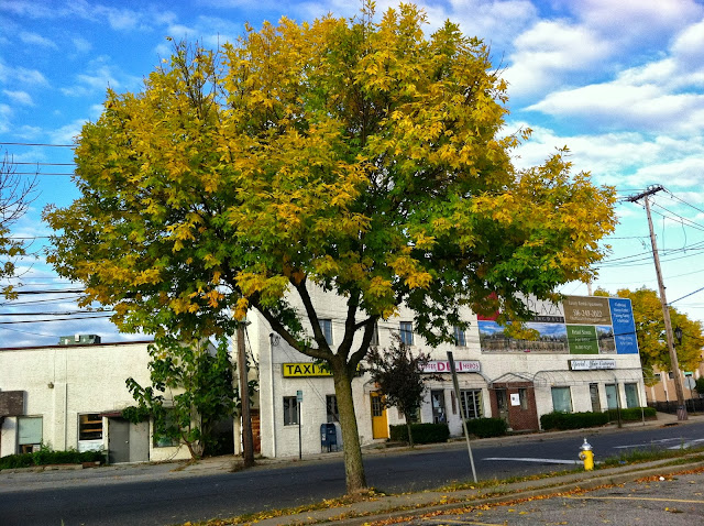 Yellow-Door-with-Autumn-Tree