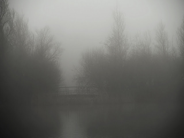 Bridge between thick bushes loom darkly in the mist