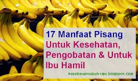 17 Manfaat Pisang Untuk Kesehatan, Pengobatan & Ibu Hamil, dll