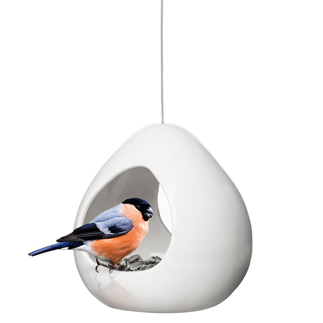 Bird Feeder Uk