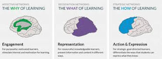This picture shows the brain and the different areas of learning