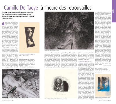 article de danièle gillemon à propos de l'exposition de camille de taeye au salon d'art dans le soir mad du mercredi 19 mai 2021