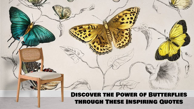 Discover the Power of Butterflies through These Inspiring Quotes