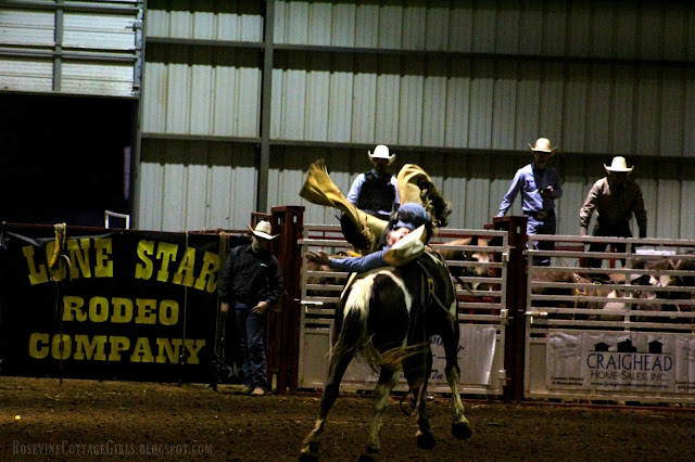 #rodeo #broncriding #cowboys #cows #horses