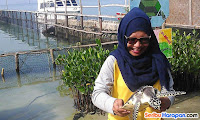 taman biota laut pulau harapan