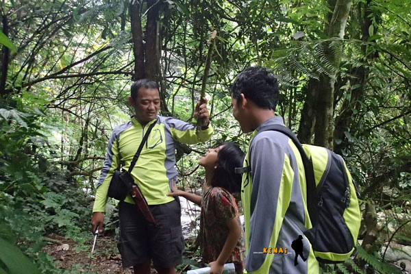 Rasanya Meminum Air dari Akar Gantung