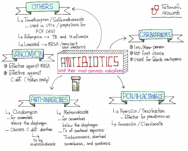 Antibiotics Summary