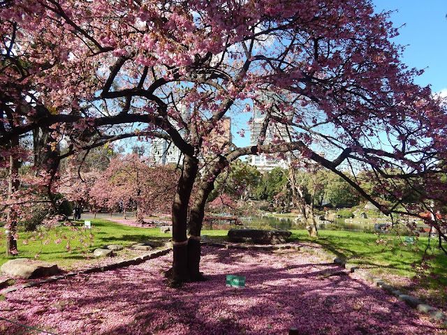 Jardim Japonês Buenos Aires 