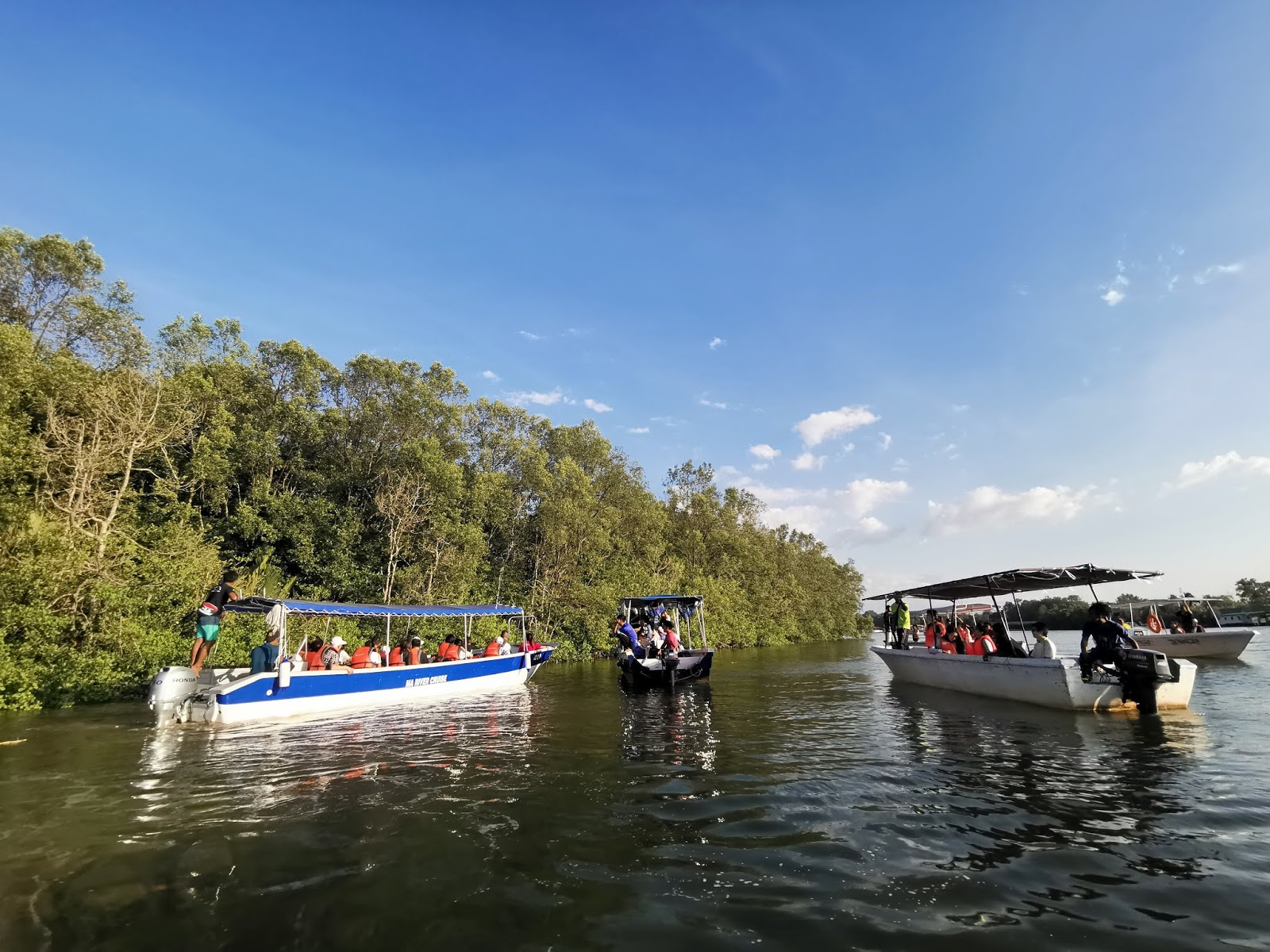  https://playgut.blogspot.com/2019/05/41-kawa-kawa-kawa-kawa-mangrove.html