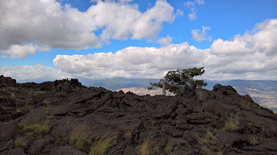 North slope of Mount Etna - surreal landscapes looking north. Lava, lone pines, and beautiful sky.