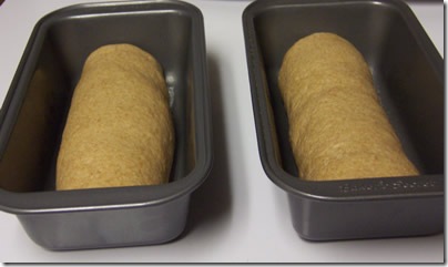 BBA-whole-wheat-bread 025