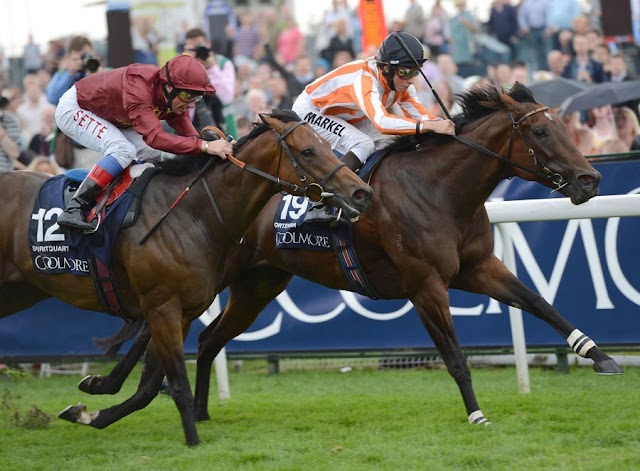 York, Ebor Festival Day 3: Ortensia come una furia sulle Nunthorpe! Battuto Spirit Quartz. Blaine vince le Gimcrack, Dubai Prince lucido nelle Strensall. Domani ultimo giorno, le parole di Sir Henry Cecil sul suo sito...