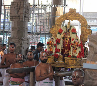 Parthasarathy Perumal, Maasi Ekadsesi, Ekadesi Purappadu,  Trplicane,  Purappadu, Thiruvallikeni, Utsavam, 