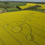 gambar crop circle, foto crop circle, alien, ufo, lingkaran tanaman, www.digaleri.com