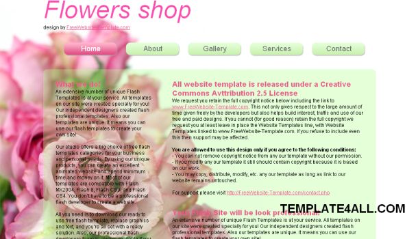 Green Pink Fresh CSS Website Template