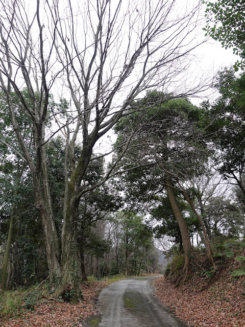 むきばんだ史跡公園　弥生の森遊歩道