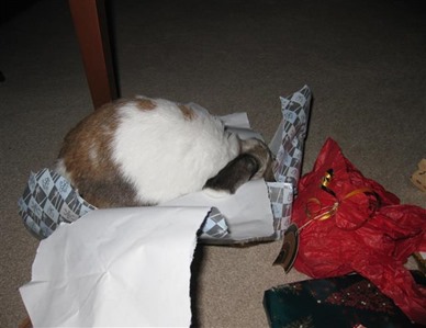Marmite - Wrapping Paper