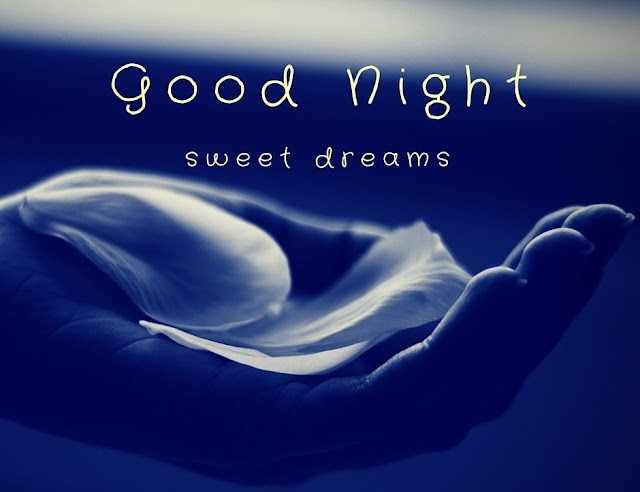 Good Night SMS In Hindi