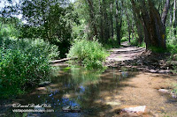 Moncayo Val Los Fayos Agreda ruta senderismo