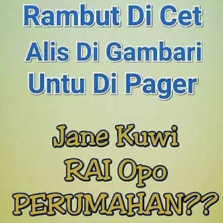 174 Kata Kata Status Lucu FB Bahasa Jawa (Gokil)