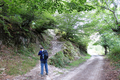 Tomamos el camino de la izquierda