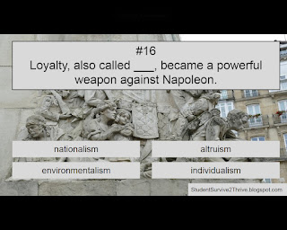 Loyalty, also called ___, became a powerful weapon against Napoleon. Answer choices include: nationalism, altruism, environmentalism, individualism