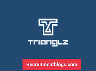 TrianglZ IT Summer internship program